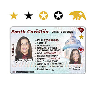example of a real ID 
